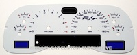 2001-2004 Dakota White Gauge Face